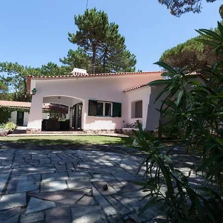 Σπίτι διακοπών Ocean, Pines And Mountain - Renovated February 2025 - Ac