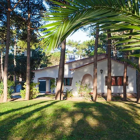 Ocean, Pines And Mountain - Renovated February 2025 - Ac * Colares