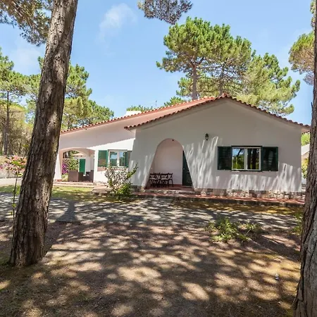 Ocean, Pines And Mountain - Renovated February 2025 - Ac Casa vacanze *