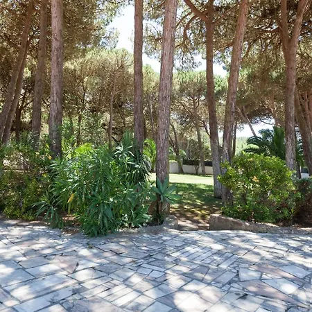 Ocean, Pines And Mountain - Renovated February 2025 - Ac *