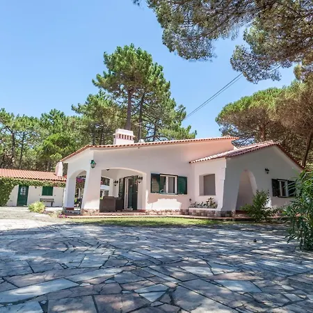Ocean, Pines And Mountain - Renovated February 2025 - Ac