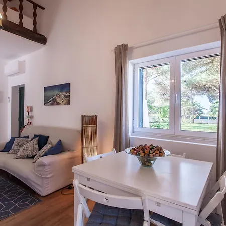 Ocean, Pines And Mountain - Renovated February 2025 - Ac