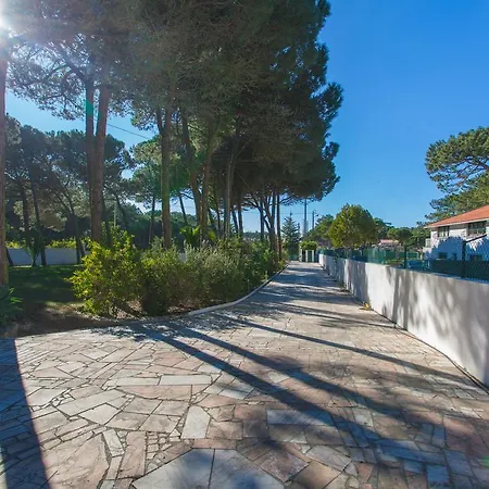 Ocean, Pines And Mountain - Renovated February 2025 - Ac *