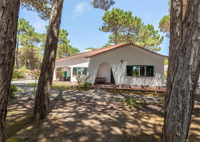 Ocean, Pines And Mountain - Renovated February 2025 - Ac Vakantiehuis *