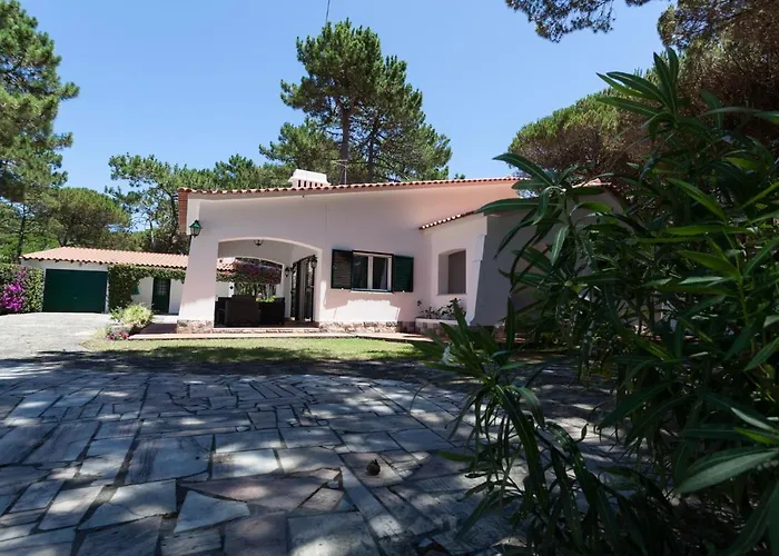 Vakantiehuis Ocean, Pines And Mountain - Renovated February 2025 - Ac