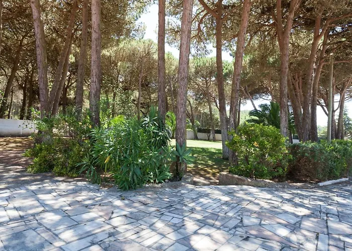 Ocean, Pines And Mountain - Renovated February 2025 - Ac *