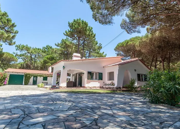 Ocean, Pines And Mountain - Renovated February 2025 - Ac